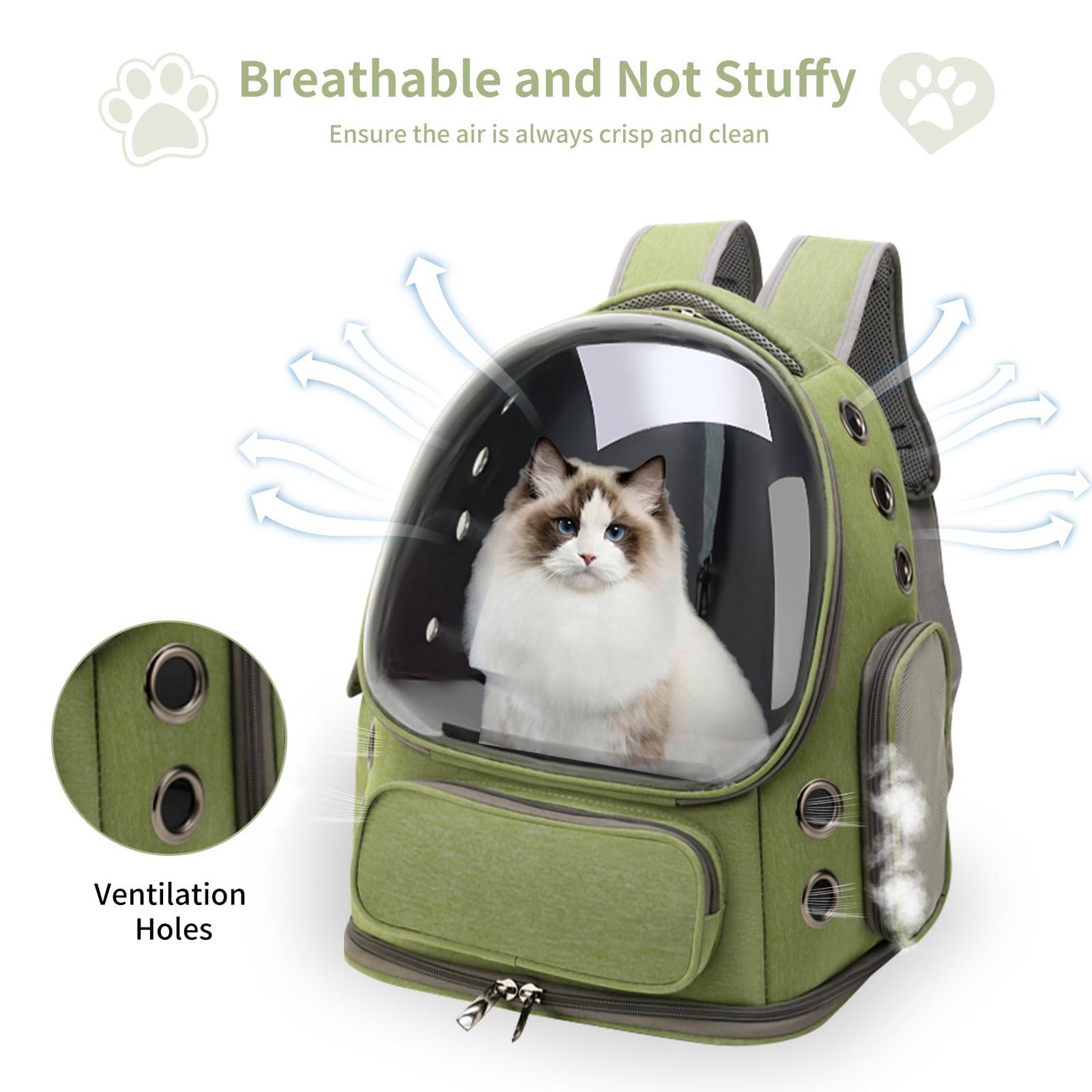 Tas Ransel Kucing yang Dapat D - Foldable Backpack Small ulasan dan harga